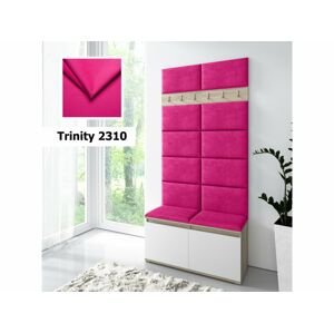 Eka Předsíňová stěna s čalouněnými panely Trinity 1 - Bílá sonoma / Růžová 2310