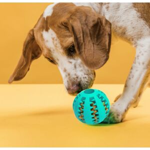 Detenix Žvýkací míček pro psy - mint