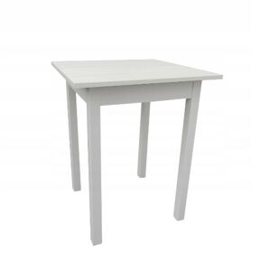 Ali Kuchyňský stůl MINI 60 x 60 cm -  bílá polární / bílá