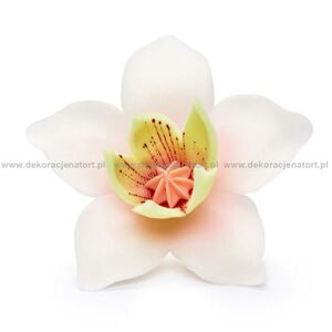 Cukrová dekorace Pětilistá květina bílá (20 ks) Trvanlivost do 27.5.2024!