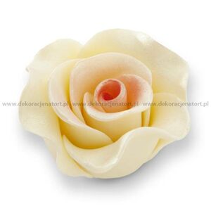 Cukrová dekorace Růže velké zlato-růžové perleťové (12 ks)