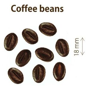 Dekorace Čokoládovo-kávové zrno (70 g)