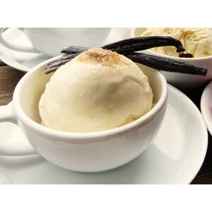 Ochucovací pasta Joypaste Madagaskarská vanilka/Burbon (1,2 kg)